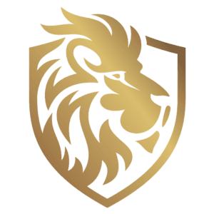 Algemene voorwaarden LionBytes